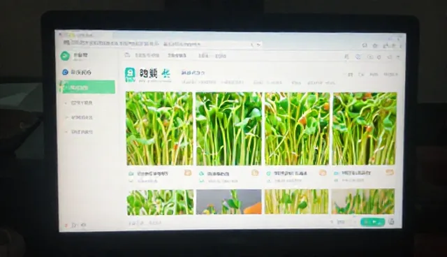 芽苗菜管理软件:理解偏差如何影响细节管理优化