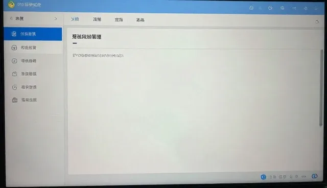 技术外包中的软件研发支持适用情况与限制